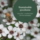 Manuka Honey UMF 18+ MGO 696+
